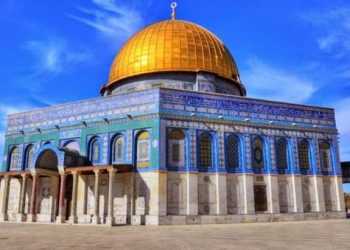 تقرير وكالة بيت مال القدس المنبثقة عن منظمة التعاون الإسلامي بإشراف مباشر  من جلالة الملك