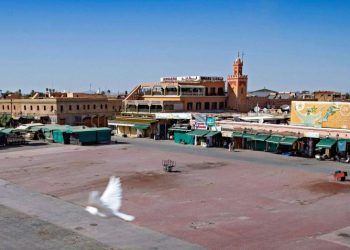 تنظيم جولة بجهات المملكة لدعم مخطط إنعاش القطاع السياحي