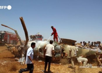 وكالة الأنباء الفرنسية ترد على خبر إسقاط جبهة “البوليساريو” لطائرة مقاتلة مغربية