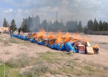 طنجة.. إتلاف أزيد من 14 طنا من المخدرات