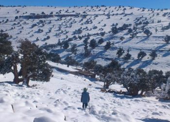 أزيلال: تعبئة كبرى من أجل فك العزلة وإزاحة الثلوج