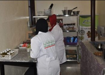 مستحضرات التجميل المستخلصة من لعاب الحلزون مشروع تجديدي لتعزيز استقلالية النساء