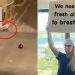 وزيرة تطالب لاعبي التنس في أستراليا بعدم إطعام الفئران!