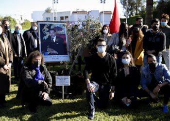 غرس شجرة زيتون تعبيرا عن الأخوة والسلام بين المسلمين واليهود