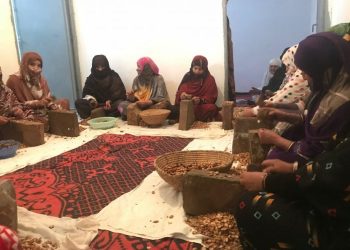 دعم التسويق الإلكتروني للمنتوجات المجالية النسائية بالعالم القروي