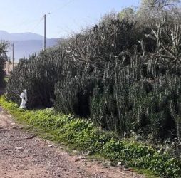 الفقيه بنصالح: نقل تلميذ إلى المستشفى إثر تعرضه لحادث