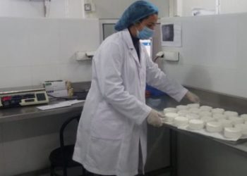 عفاف عماد تحقق حلم صناعة جبن الإبل بواحة بكلميم
