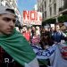 السجن النافذ لثلاثة من مناضلي الحراك الجزائري