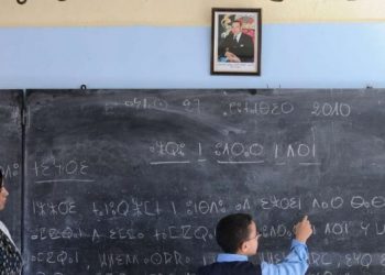 تكوين 400 أستاذ سنويا لتدريس الأمازيغية