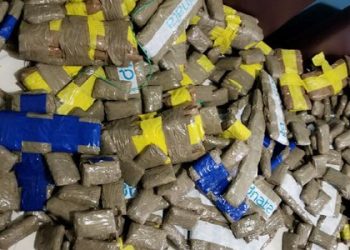 القنيطرة.. إحباط عملية تهريب أزيد من طن من الحشيش