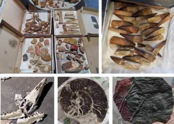 إحباط محاولة تصدير قطع جيولوجية بالبيضاء
