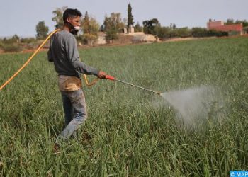 ندوة دولية حول التكنولوجيات الذكية من أجل فلاحة مستدامة في إفريقيا