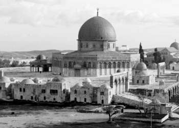 كيف يتحدّث التاريخُ عن أخطاء العرب تجاه قضية (فلسطين)؟