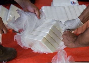 حجز 65,5 طنا من الكوكايين بأنفيرس في 2020 ببلجيكا