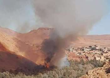 عاجل: الواحة تحترق، وفعاليات مدنية تدعوا لحمايتها