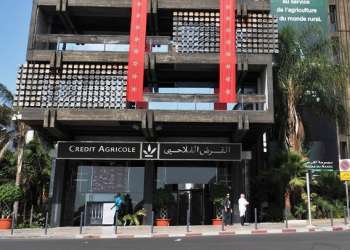 القرض الفلاحي للمغرب يلتقي الفيدراليات البيمهنية لقطاعات الفواكه والخضر وأركان والحليب والفواكه الحمراء