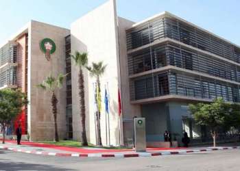 الجامعة والمناعة الفكرية للدولة