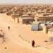 عصابة البوليساريو تُعرض سجنائها للتعذيب والجزائر تتحمل المسؤولية