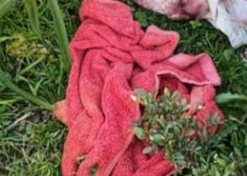 الفقيه بنصالح: ظهور جديد لكائنات انتخابية مغضوب عنها