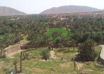 محطات مشابهة لتعسف الجزائر على الحدود مع المغرب قرب فجيج