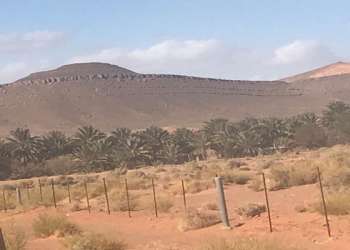 افتعال قضية “العرجة” انعكاس للحالة النفسية المحبطة للطغمة العسكرية الحاكمة في الجزائر