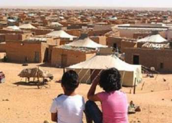 منظمة إيطالية تدعو بجنيف إلى التحرك العاجل لإنهاء استغلال الأطفال بمخيمات تندوف