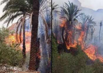 اندلاع حريق بواحة تيغمرت بكلميم