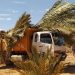 “إنصاف” فلاحي واحة فجيج بمقاطعة التمور الجزائرية