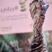 اتجاه لتأجيل بطولة “خليجي 25”