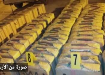 عملية تهريب أزيد من 600 كيلوغرام من مخدر الشيرا بمنطقة محاميد الغزلان
