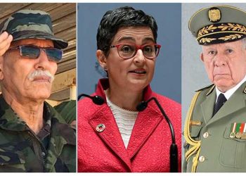 بالفيديو.. اسبانيا والجزائر تخطط بهذه الطريقة لتصفية الإنفصالي ابراهيم غالي
