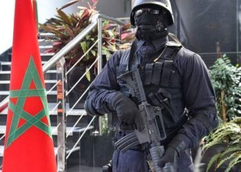 الاكاديمي جان ماري هيدلاين: المغرب فاعل محوري في الأمن العالمي