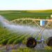 المغرب يقدم في القمة التمهيدية للنظم الغذائية الرؤية الملكية لفلاحة تنافسية ومستدامة