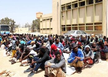 المنظمة الدولية للهجرة: الجزائر تطرد أزيد من ألف و200 مهاجر نحو النيجر