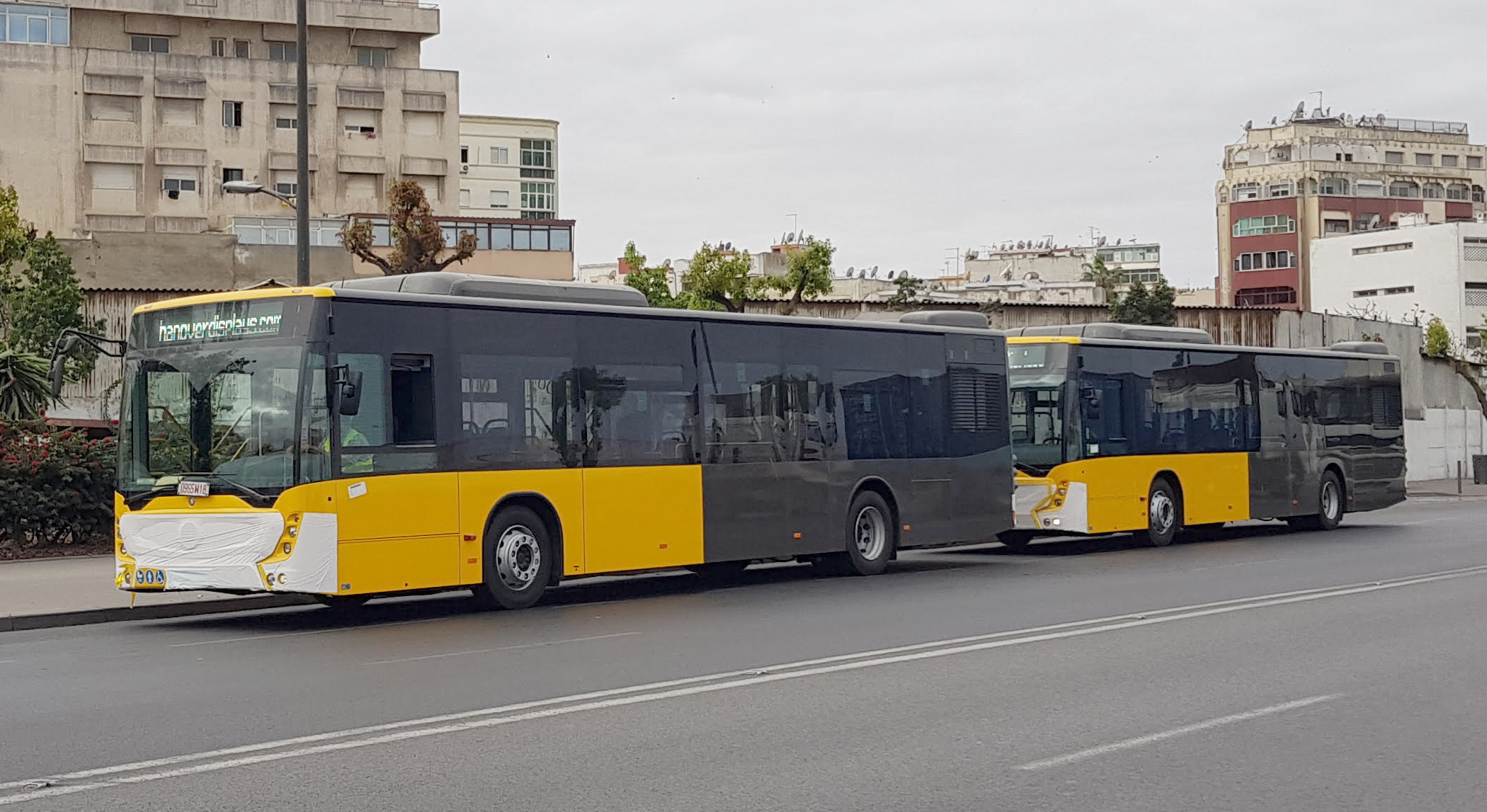 بلاغ هام بخصوص استمرارية خدمات النقل الحضري عبر الحافلات خلال يوم عيد الأضحى