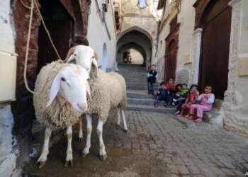 دولة عربية تحدد موعد عيد الأضحى