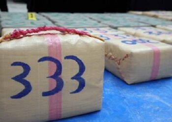 إحباط محاولة تهريب 290 كلغ من مخدر الشيرا بالناضور