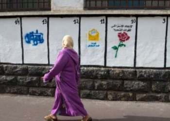 فيروسات المال و السلطة والانتخابات