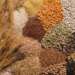 اتخاذ إجراءات استباقية لضمان استقرار أسعار الحبوب في السوق الوطنية