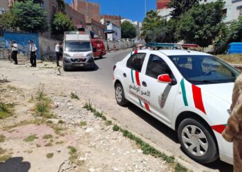 تفكيك شبكة إجرامية تنشط في التهريب الدولي للمخدرات بالناضور