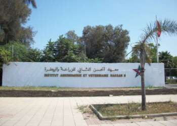 التعليم عن بعد يفجر غضب طلبة معهد الحسن الثاني للزراعة والبيطرة