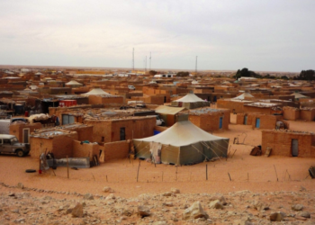 إدانة الانتهاكات الممنهجة لحقوق الإنسان بمخيمات تندوف من طرف البوليزاريو أمام اللجنة الرابعة للأمم المتحدة
