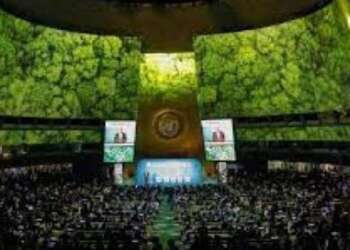 قادة العالم يعلنون اليوم التزامهم وقف إزالة الغابات بحلول 2030