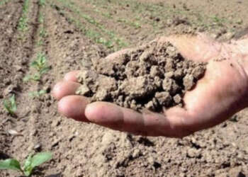 الجفاف يهدد الفلاحة والفلاحين في المغرب العربي