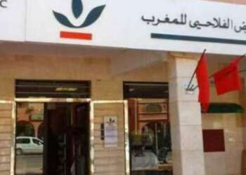 القرض الفلاحي للمغرب: ارتفاع الناتج البنكي الصافي ب12 في المئة في متم شتنبر الماضي