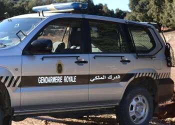 سيدة تحتجز شخصا لإرغامه على الزواج بها مستعينة بعصابة بثرت أذنه
