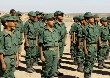 التحالف الدولي للدفاع عن الحقوق والحريات يدين التجنيد العسكري للأطفال بتندوف