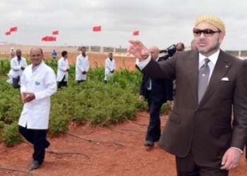 السياسة الملكية حققت الكثير من المكتسبات للعالم القروي