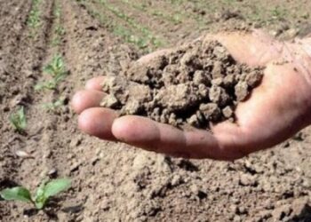 خبير يشرح سبب تأخر تساقط الأمطار في المغرب