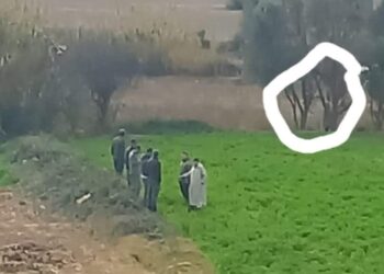 انتحار رجل شنقا فوق شجرة بواد لاو بتطوان‎